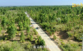 生態(tài)文明·地表最強(qiáng)治沙人
