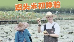 James带你苏州walk | 鸡头米初体验