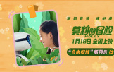 電影《莫莉的冒險》超前點映好評如潮 寒假觀影首選