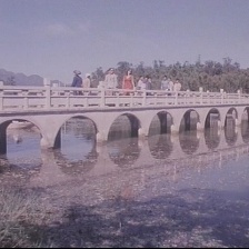 客從何來