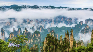 前往《阿凡达》潘多拉星取景地 卡梅隆为何选择张家界？