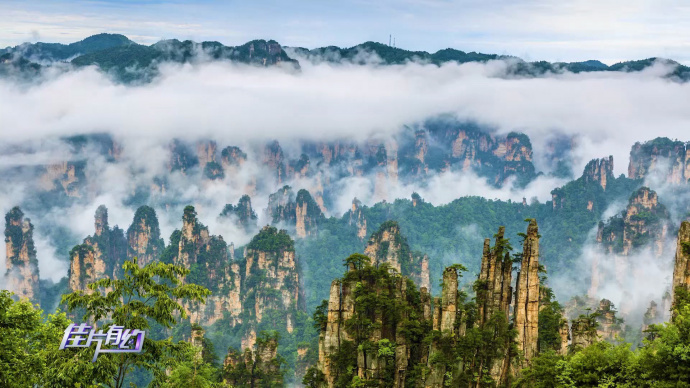 前往《阿凡达》潘多拉星取景地 卡梅隆为何选择张家界？