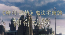 神奇动物究竟有哪些魔力？带您走进《神奇动物：邓布利多之谜》
