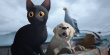 《猫猫的奇幻漂流》剧照