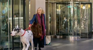 狗狗治愈人心 娜奥米·沃茨新片《挚友》公布预告_好莱坞_电影网_1905.com