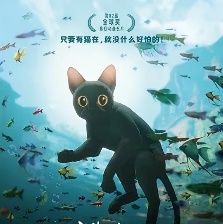 猫猫的奇幻漂流
