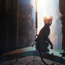 猫猫的奇幻漂流