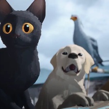 猫猫的奇幻漂流