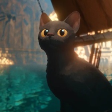 猫猫的奇幻漂流