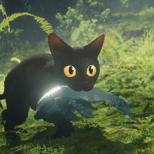 猫猫的奇幻漂流