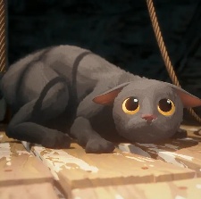 猫猫的奇幻漂流