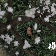 雄獅少年2