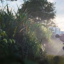 雄獅少年2