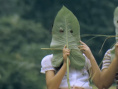《在那河畔青草青》剧照