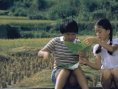 《在那河畔青草青》剧照