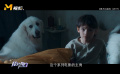 《靈犬貝拉》系列電影的幕后拍攝故事
