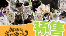 前方高萌！猫猫头来袭《猫猫的奇幻漂流》曝海报