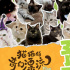 前方高萌！猫猫头来袭《猫猫的奇幻漂流》曝海报