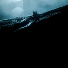 猫猫的奇幻漂流