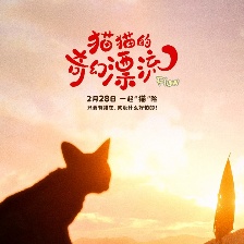 猫猫的奇幻漂流