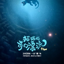 猫猫的奇幻漂流
