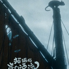 猫猫的奇幻漂流