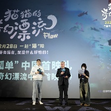 猫猫的奇幻漂流