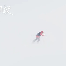 光語者：獨步南極