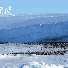 光語者：獨步南極