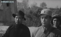 丁龍鎮(zhèn)：共產(chǎn)黨人保護(hù)牛大爺