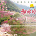 電影頻道微短劇《和你的桃花源》在泉州永春開(kāi)機(jī)