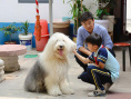 《誰是大英雄》劇照