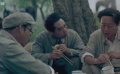 巍巍昆侖：彭總密令與戰(zhàn)略撤退