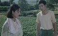 鄉(xiāng)思：陳祖安連續(xù)幾個(gè)夜晚守候在女兒橋上