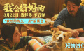 张子枫新片《我会好好的》发布小狗视角新预告