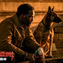 疾速追杀4