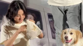 张子枫亲手给塔塔戴口水巾 幸福的画面看得人心软软