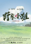 《野象小姐》海報