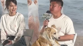《我會(huì)好好的》北京首映禮 主創(chuàng)解釋為什么六只狗狗演小意
