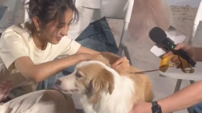 《我会好好的》北京首映礼 张子枫和狗狗塔塔有爱互动