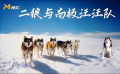 一只阿拉斯加犬的電影明星夢
