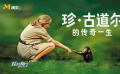 珍·古道爾如何克服困難，在非洲生活30年