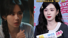 郑合惠子谈公众人物“掉粉”焦虑