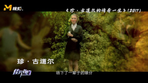 纪录片《珍·古道尔的传奇一生》如何缘起？