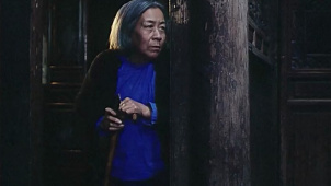 砚床：猫咪日常搞怪，停电也挡不住