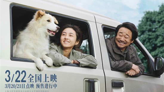 它用一生陪伴！张子枫《我会好好的》曝终极预告