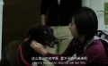 以后的以后：女孩給狗重新起名