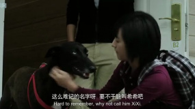 以后的以后：女孩給狗重新起名