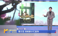春分至 盼清明 清明档影片忙宣传