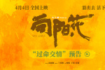 《向陽·花》曝預告 趙麗穎為保護姐妹拔刀放狠話